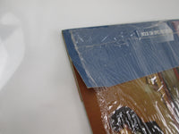 Load image into Gallery viewer, Heart Private Audition Promo Epic 25 3P-361 with OBI Japan LP Vinyl
