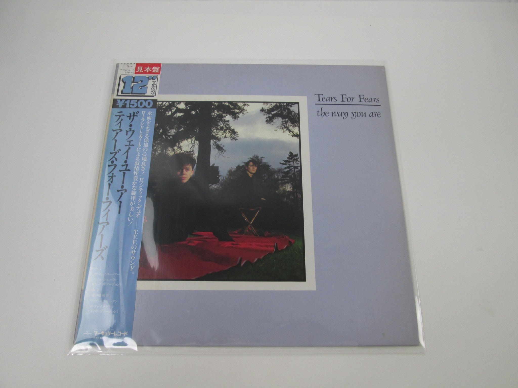 Phew フュー Patience Soup レコード PHEW/OREN AMBARCHI/JIM O'ROURKE Patience Soup Records & LPs