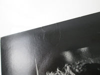 Load image into Gallery viewer, The Righteous Brothers Greatest Hits 25MM 0066 with OBI Japan LP Vinyl
