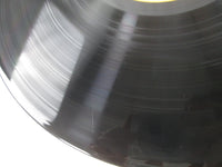 Load image into Gallery viewer, Castle In The Sky Laputa Drama Hen 19AGL-3029,30 with OBI Japan LP Vinyl
