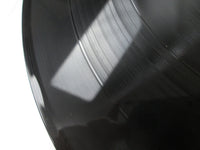 Load image into Gallery viewer, Steely Dan Aja YX-8114-AB with OBI Japan LP Vinyl
