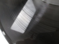 Load image into Gallery viewer, Steely Dan Aja YX-8114-AB with OBI Japan LP Vinyl
