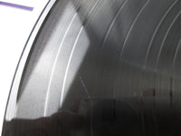 Load image into Gallery viewer, STORIES ABOUT US KAMA SUTRA YZ-39-KS with OBI Japan LP Vinyl
