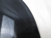 Load image into Gallery viewer, Kigdom Come 835368 Hype LP Vinyl Kingdomcome
