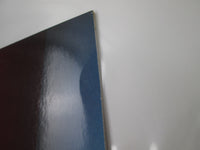 Load image into Gallery viewer, Ph.D. P-11202 with OBI Japan LP Vinyl
