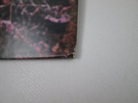 Load image into Gallery viewer, BLACK SABBATH SP18-5010 with OBI Japan LP Vinyl
