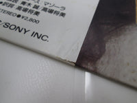 Load image into Gallery viewer, Simone Amor E Paixão Promo 28 3P-832 with OBI Japan LP Vinyl
