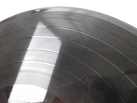 Load image into Gallery viewer, Macross Extra I JBX-25039 with OBI Japan LP Vinyl
