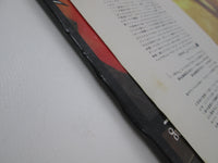 Load image into Gallery viewer, JUDAS PRIEST SAD WINGS OF DESTINY GULL GP-464 with OBI Japan LP Vinyl
