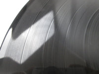 Load image into Gallery viewer, Survivor The Best Collection Of Survivor C25Y 0192 with OBI Japan LP Vinyl
