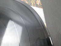 Load image into Gallery viewer, GRAND FUNK WE&#39;RE AN AMERICAN BAND ECP-80857 with OBI Japan LP Vinyl
