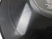 Load image into Gallery viewer, John &amp; Yoko Plastic Ono Band Some Time In New EAS-67110,1 OBI Japan LP Vinyl
