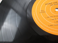 Load image into Gallery viewer, Ted Nugent Double Live Gonzo! 40AP 872,3 with OBI Japan LP Vinyl A
