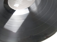 Load image into Gallery viewer, Overkill Taking Over 81735 Japan LP Vinyl
