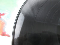 Load image into Gallery viewer, A Flock Of Seagulls VA 33003 LP Vinyl
