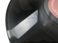 Load image into Gallery viewer, Melgroove Le Temps Qu&#39;il Faudra SMA-499937 LP Vinyl
