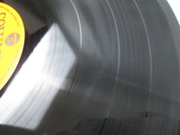 Load image into Gallery viewer, Anne Of Green Gables Song and Story CS-7119 with OBI Japan LP Vinyl
