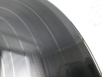 Load image into Gallery viewer, Bruce Lee YX-7045 with OBI Japan LP Vinyl
