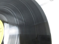 Load image into Gallery viewer, OST(BRUCE LEE) MY WAY OF KUNG FU YX-7049 OBI Poster Japan LP Vinyl
