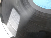 Load image into Gallery viewer, OST(BRUCE LEE) FIST OF FURY VICTOR VIP-7304 with OBI Japan LP Vinyl
