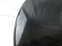 Load image into Gallery viewer, ELVIS PRESLEY WHITE CHRISTMAS ALBUM RCA RCA-5028 with OBI Japan LP Vinyl A
