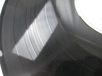 Load image into Gallery viewer, OST(BILL CONTI) KARATE KID PART 2 WARNER P-13337 with OBI Japan LP Vinyl
