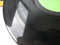 Load image into Gallery viewer, Gary Moore Rockin' Every Night Live In Japan VIL-6039 with OBI Japan LP Vinyl
