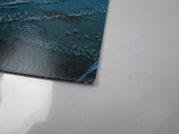 Load image into Gallery viewer, Q5 ‎Steel The Light Promo VIL-6173 with OBI Japan LP Vinyl
