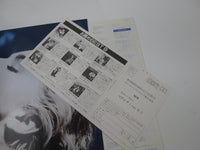 Load image into Gallery viewer, MADONNA TRUE BLUE SIRE P-13310 with OBI Poster Japan LP Vinyl
