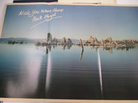 Load image into Gallery viewer, Pink Floyd ‎Wish You Were Here SOPO-100 with Hype Poster Card Japan LP Vinyl
