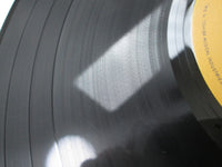 Load image into Gallery viewer, Creedence Clearwater Revival Creedence Gold LFP-80675 with OBI Japan LP Vinyl
