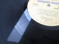 Load image into Gallery viewer, ALLMAN BROTHERS BAND WIPE WINDOWS VIP-9501,2 with OBI Japan LP Vinyl
