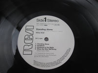 Load image into Gallery viewer, White Wolf Standing Alone Promo RPL-8283 with OBI Japan LP Vinyl
