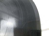 Load image into Gallery viewer, 10cc Tropical &amp; Love Mercury RJ-7603 with OBI Japan LP Vinyl
