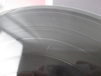 Load image into Gallery viewer, ALCATRAZZ NO PAROLE FROM ROCK 'N' ROLL 28MM 0320 with OBI Japan LP Vinyl B
