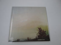 Load image into Gallery viewer, Wishbone Ash Argus MCA Records MCA-6066 with OBI Japan LP Vinyl
