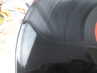 Load image into Gallery viewer, Yellow Magic Orchestra ALR-6020 with OBI Japan LP Vinyl
