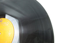 Load image into Gallery viewer, UFO Robot Grendizer CN-7003 with OBI Japan LP Vinyl
