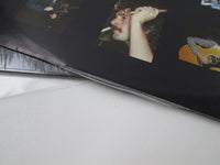 Load image into Gallery viewer, Journey Evolution Hype 35797 LP Vinyl
