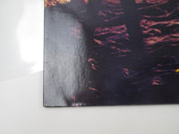 Load image into Gallery viewer, Overkill Feel The Fire N-0035 LP Vinyl
