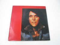 Load image into Gallery viewer, Carpenters First 10 Years AMP-3001~3 with OBI Japan LP Vinyl
