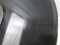 Load image into Gallery viewer, Chuck Berry Tokyo Session Eastworld WTP-90072 with OBI Japan LP Vinyl
