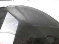 Load image into Gallery viewer, Chuck Berry Toronto Rock &#39;N&#39; Roll Revival 1969 UPS-331-V with OBI Japan LP Vinyl
