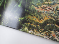 Load image into Gallery viewer, Pink Floyd A Saucerful Of Secrets SIJP-12 with OBI Japan LP Vinyl
