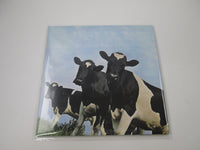 Load image into Gallery viewer, PINK FLOYD ATOM HEART MOTHER SIJP-16 with OBI Japan LP Vinyl
