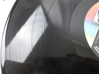 Load image into Gallery viewer, Ike &amp; Tina Turner Feel Good LLP-80611 with OBI Japan LP Vinyl
