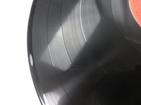 Load image into Gallery viewer, LED ZEPPELIN IV P-8166A with OBI Japan LP Vinyl
