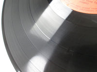 Load image into Gallery viewer, LED ZEPPELIN IV P-8166A with OBI Japan LP Vinyl
