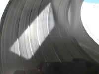 Load image into Gallery viewer, Conan The Destroyer OST MCA-6135 LP Vinyl
