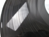 Load image into Gallery viewer, Conan The Destroyer OST MCA-6135 LP Vinyl
